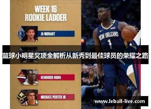 篮球小明星奖项全解析从新秀到最佳球员的荣耀之路
