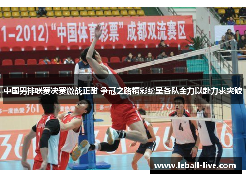 中国男排联赛决赛激战正酣 争冠之路精彩纷呈各队全力以赴力求突破