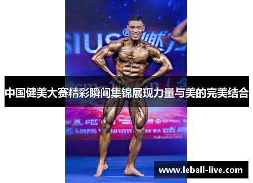 中国健美大赛精彩瞬间集锦展现力量与美的完美结合